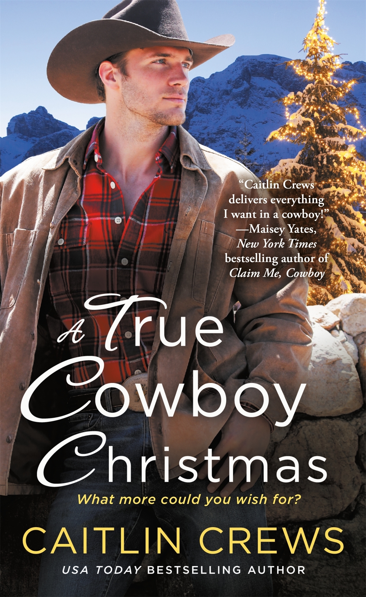Cold River Ranch book cover 1