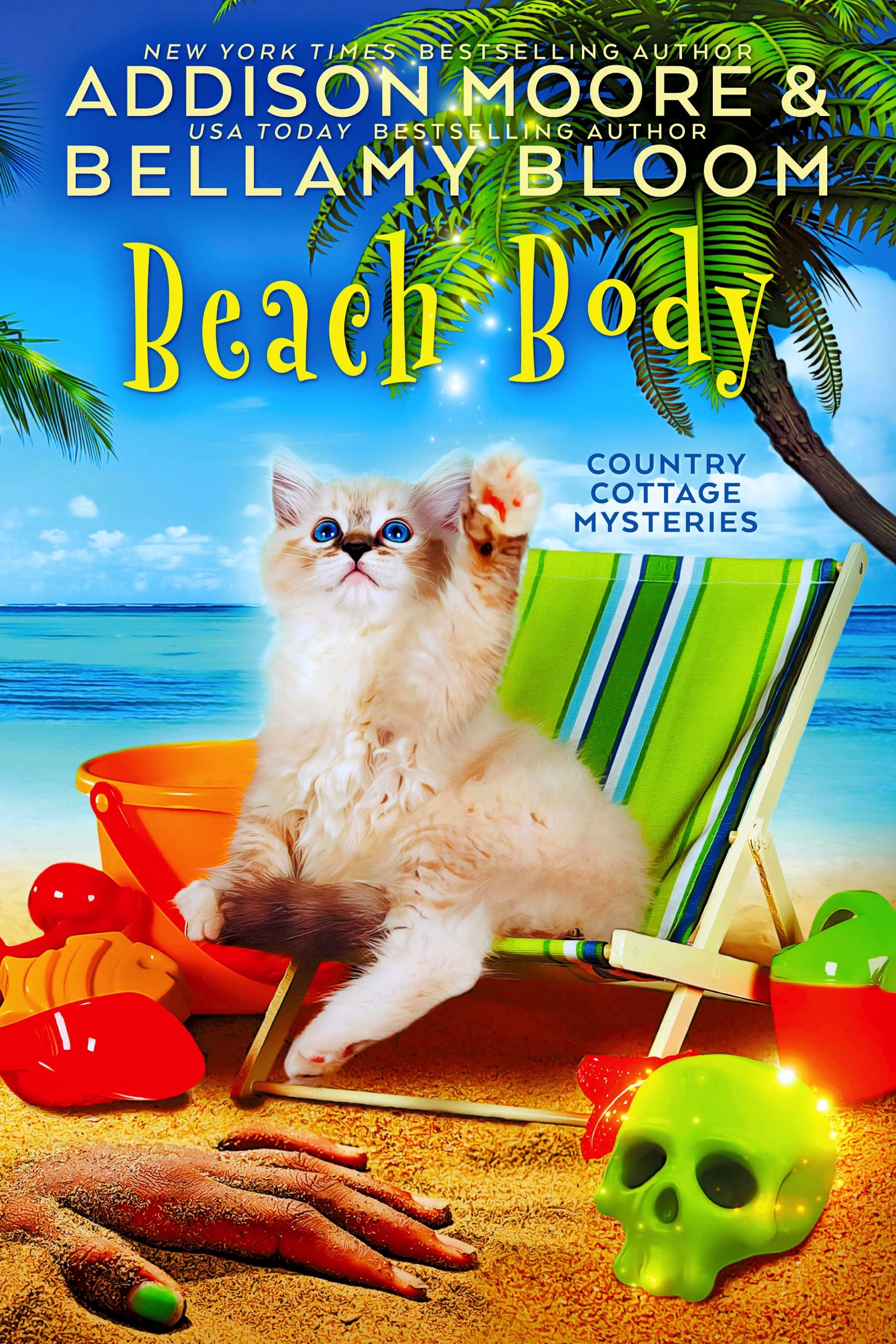 Beach Body book cover