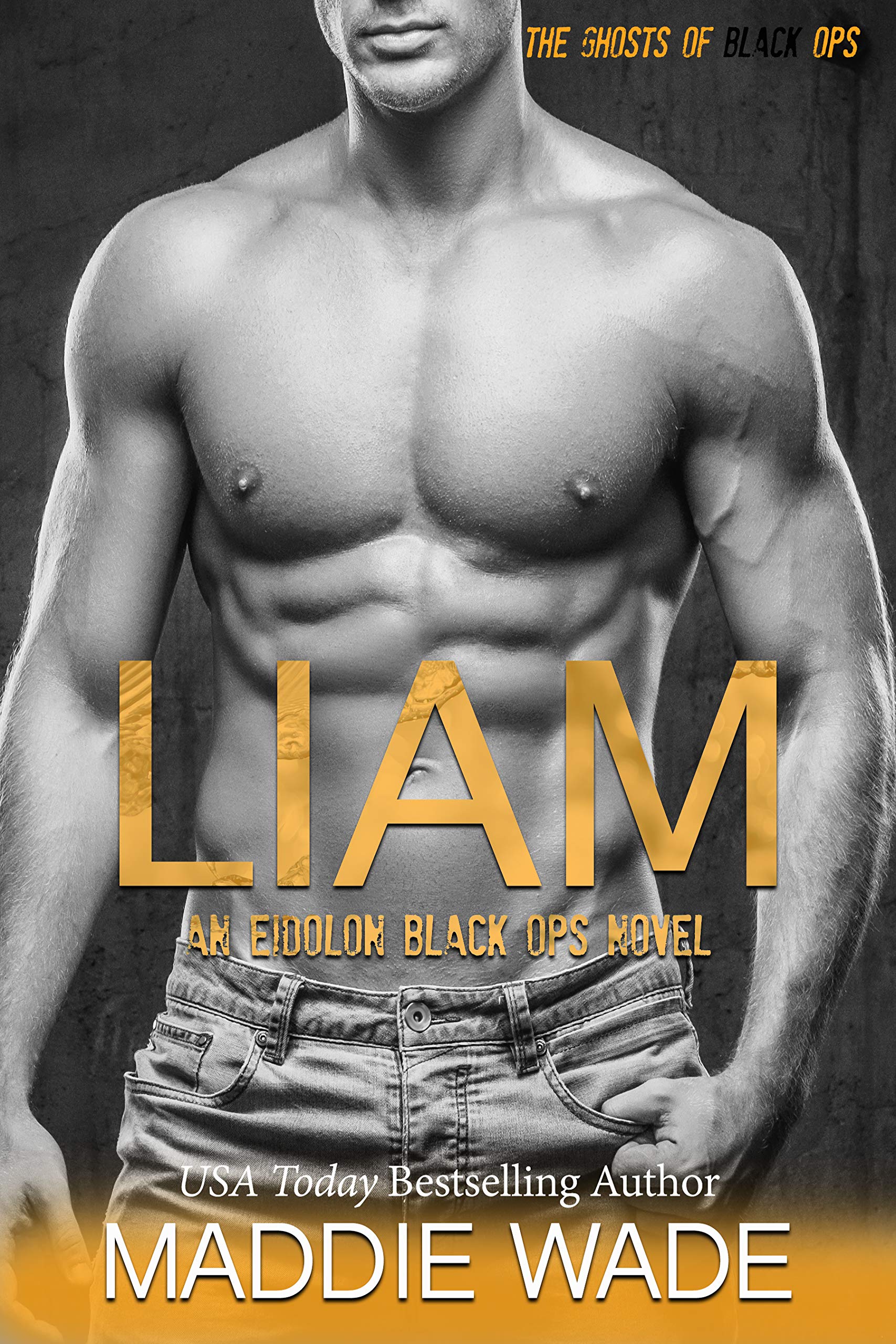 Liam book cover