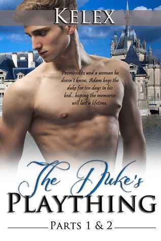 The Duke's Plaything book cover