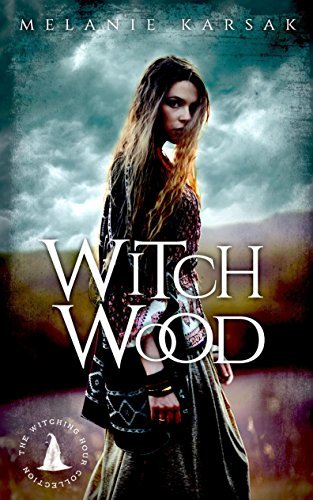Witch Wood book cover