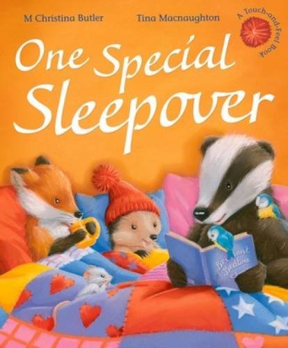 One Special Sleepover book cover