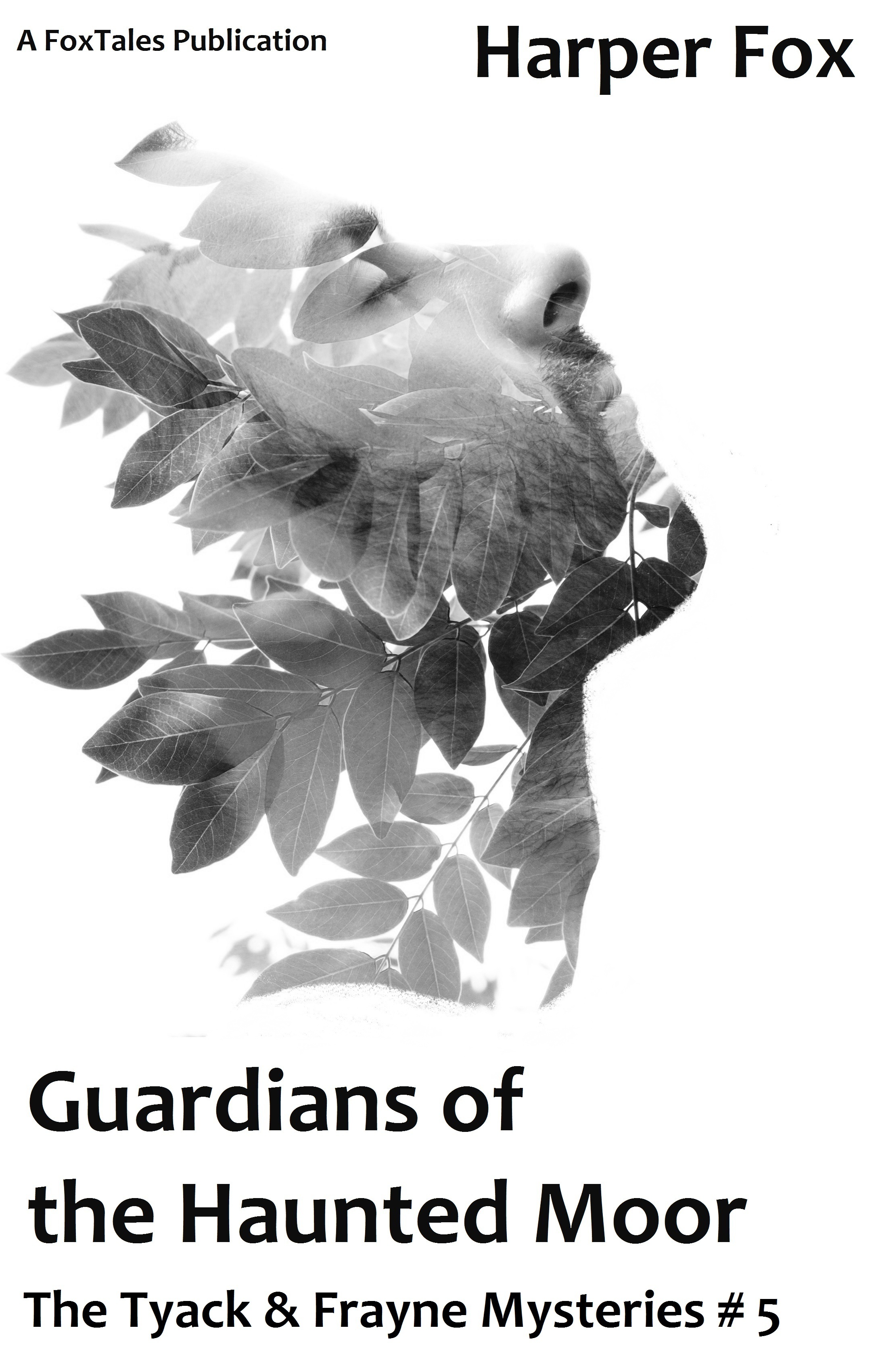 Guardians of the Haunted Moor book cover