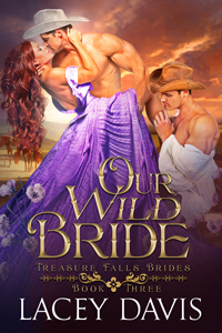 Our Wild Bride book cover