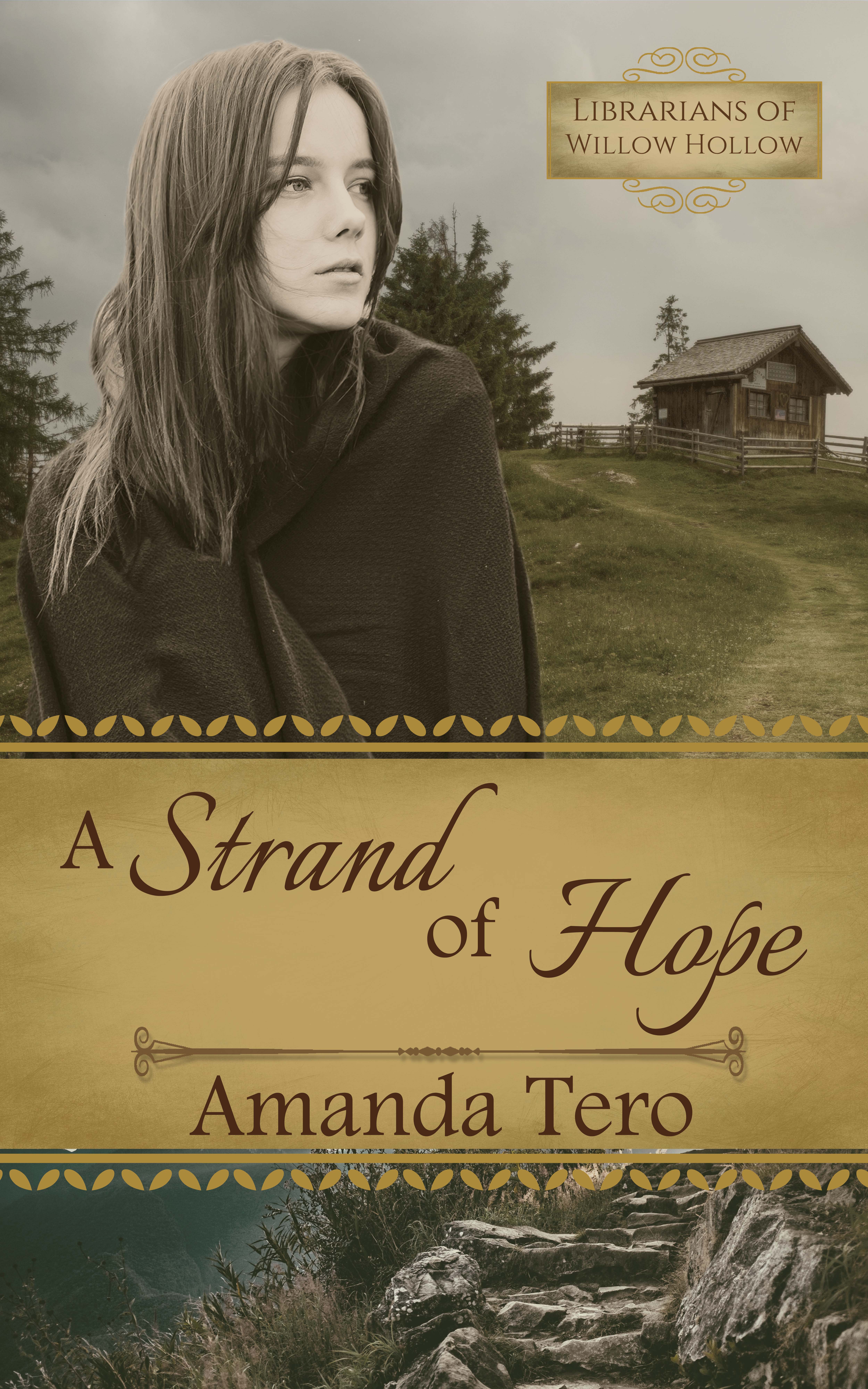 Librarians of Willow Hollow book cover 1