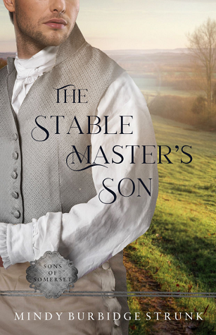 Sons of Somerset book cover 2