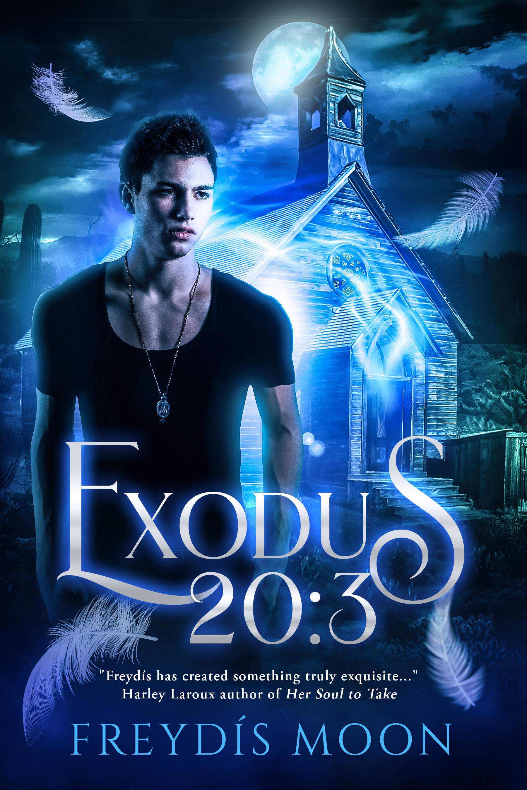 Exodus 20:3 book cover