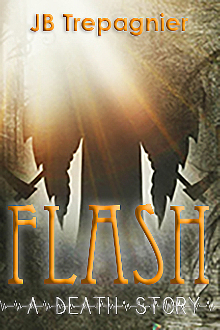 The Usas book cover 1
