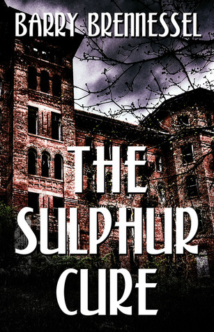The Sulphur Cure book cover
