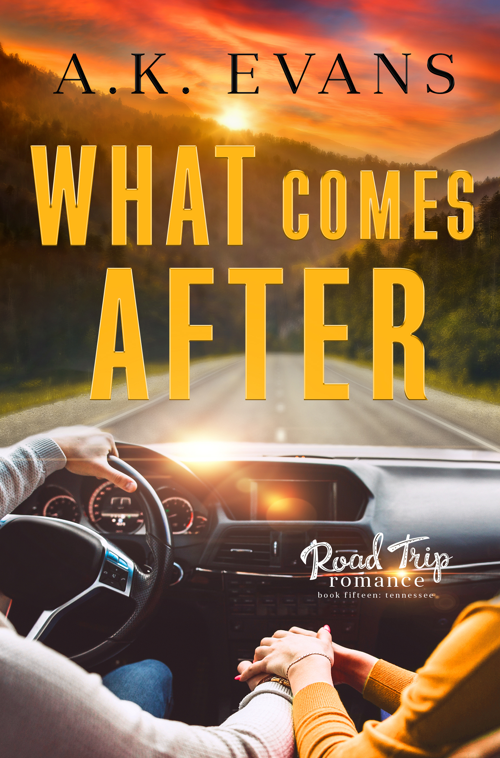 What Comes After book cover