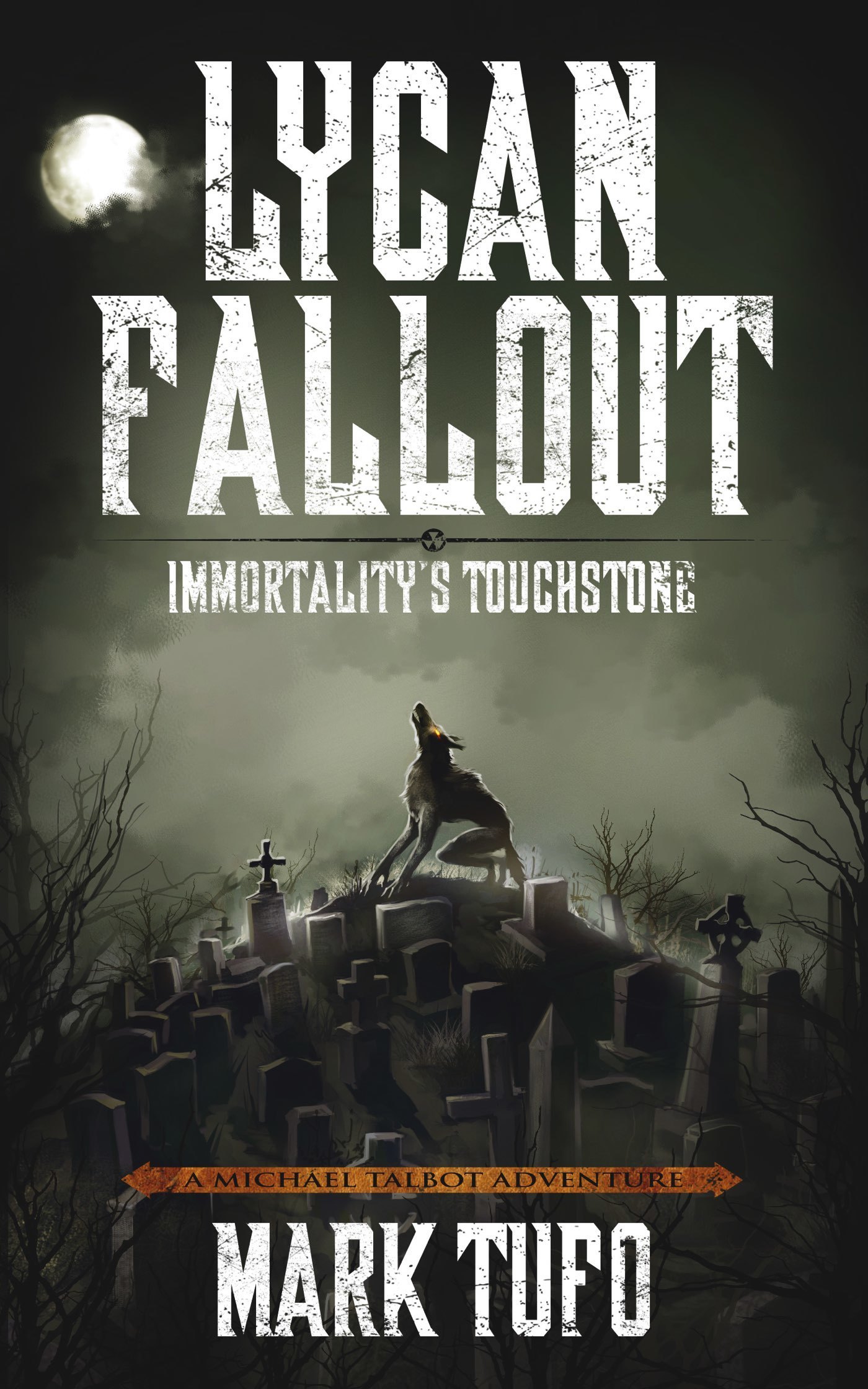 Immortality's Touchstone book cover