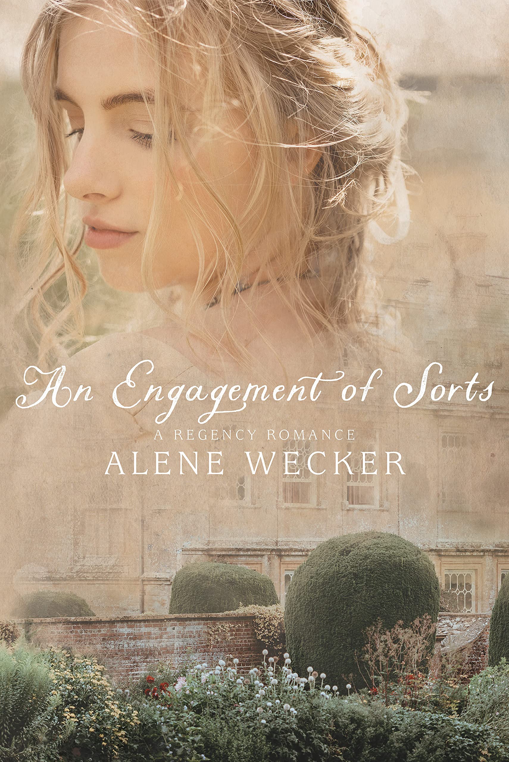 An Engagement of Sorts book cover