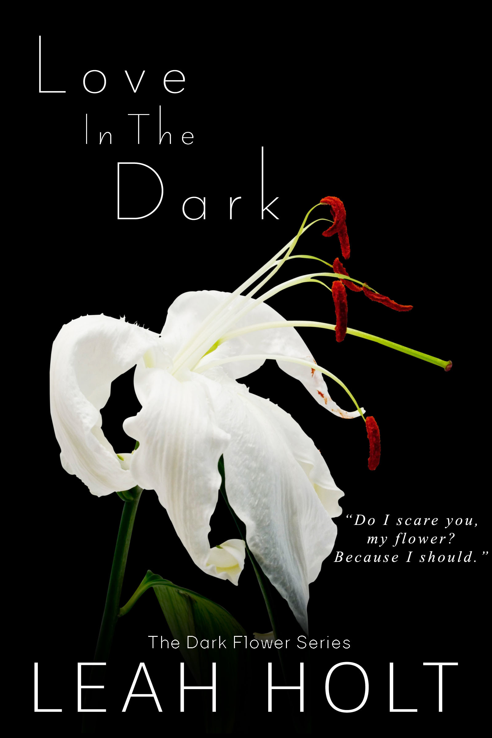 The Dark Flower book cover 2