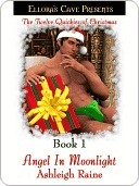 The Twelve Quickies of Christmas book cover 1