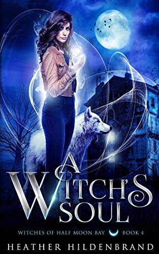 A Witch's Soul book cover