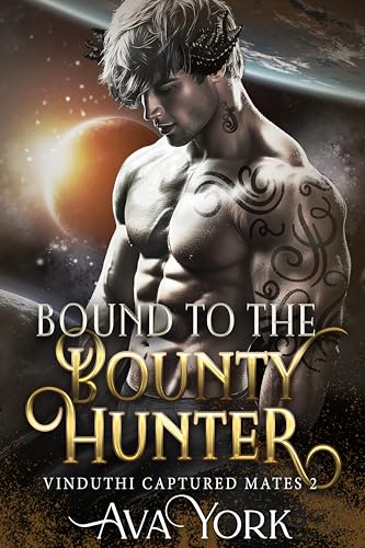 Bound to the Bounty Hunter book cover