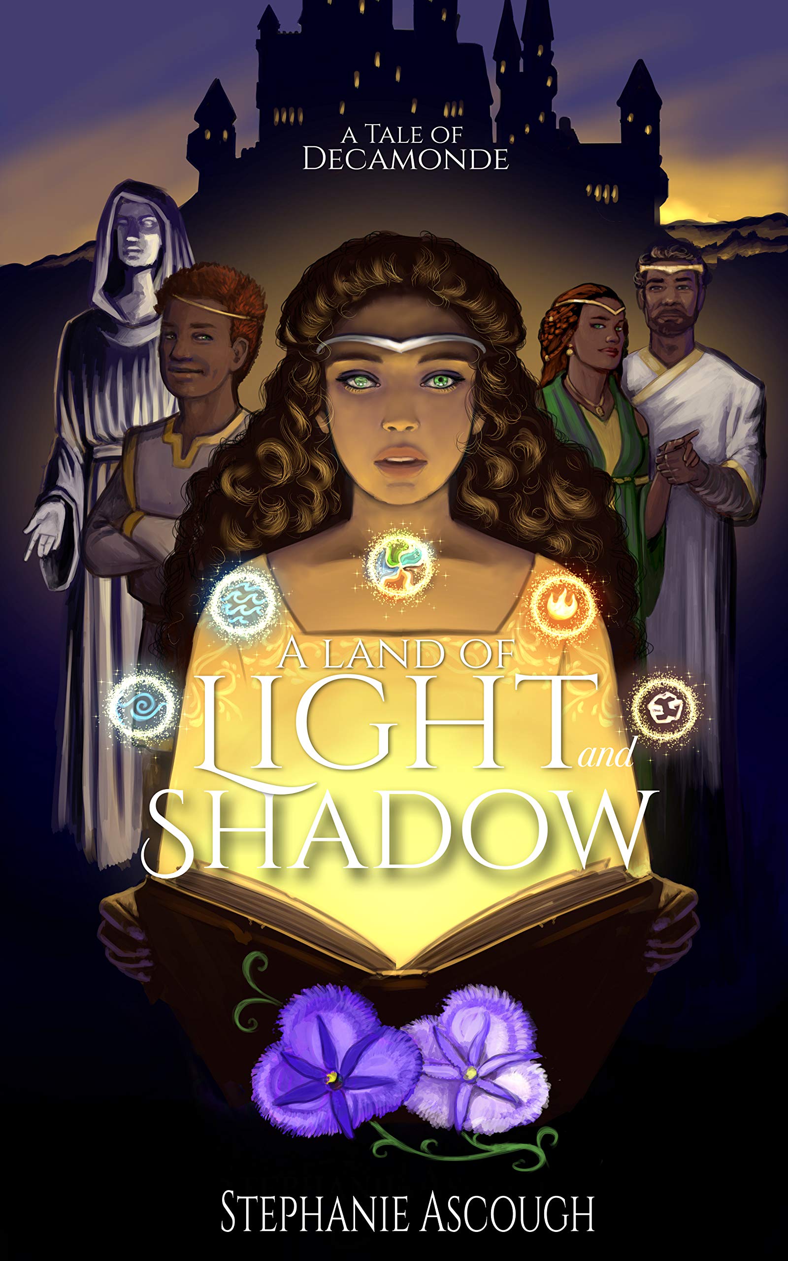 A Land of Light and Shadow book cover