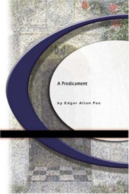 Signora Zenobia book cover 2