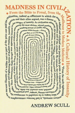 Madness in Civilization book cover