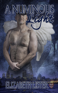 The James Lucas Trilogy book cover 3
