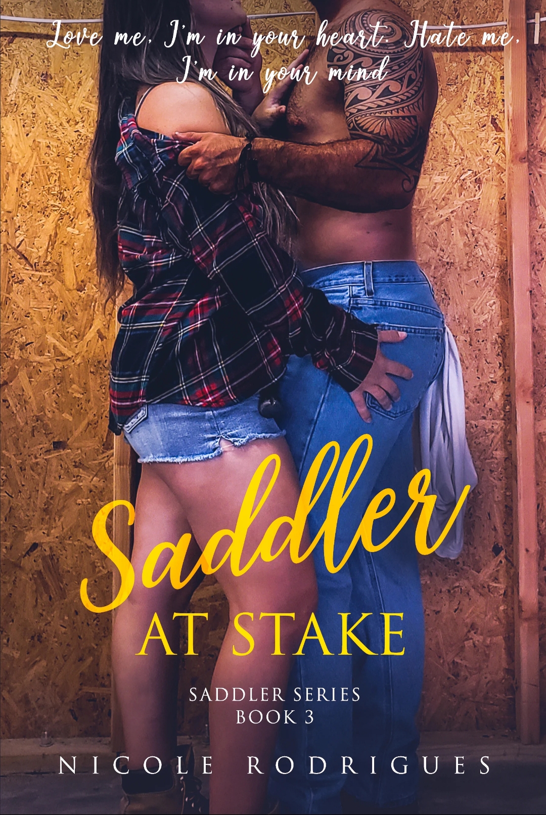 Saddler book cover 2