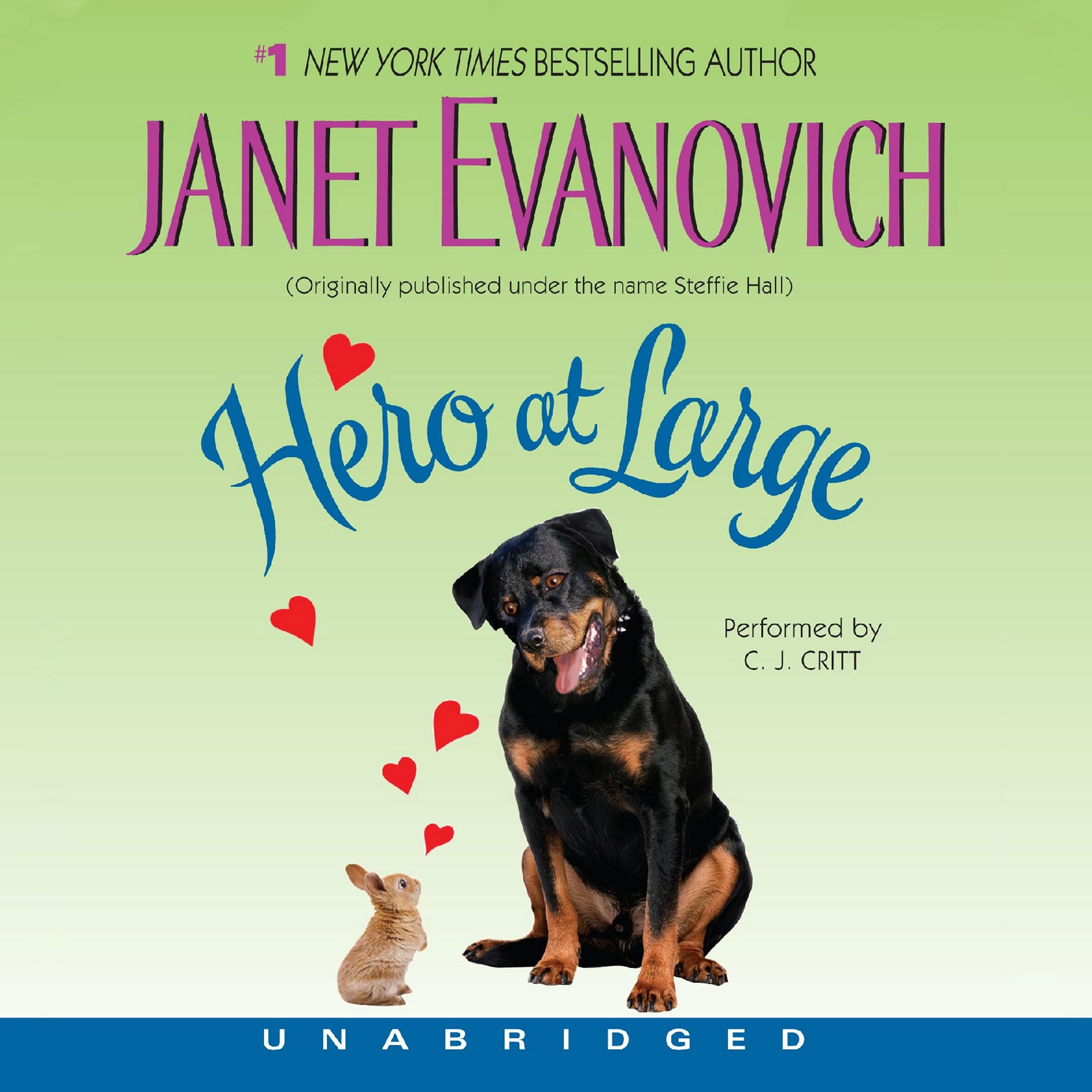 Hero at Large book cover