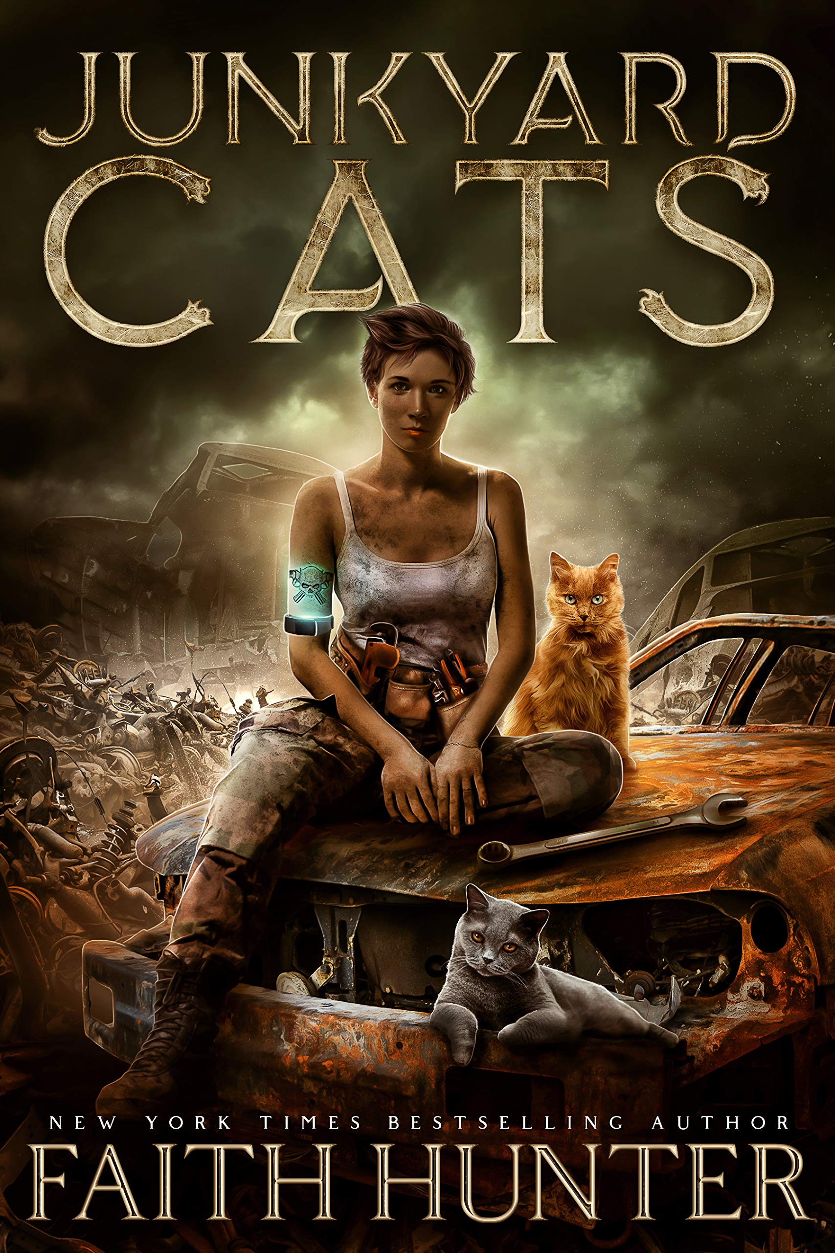 Junkyard Cats book cover