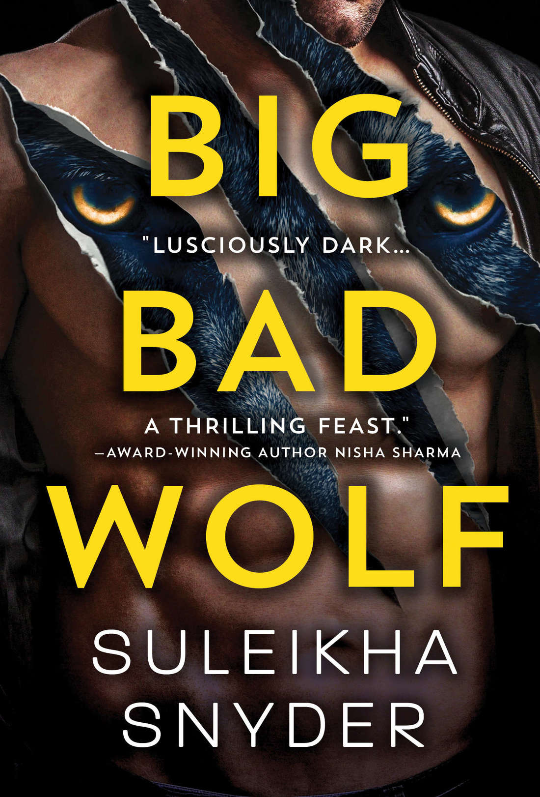 Third Shift book cover 1