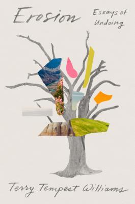 Erosion book cover