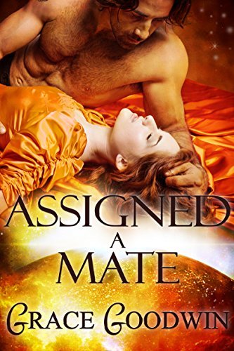 Interstellar Brides Chronological book cover 3