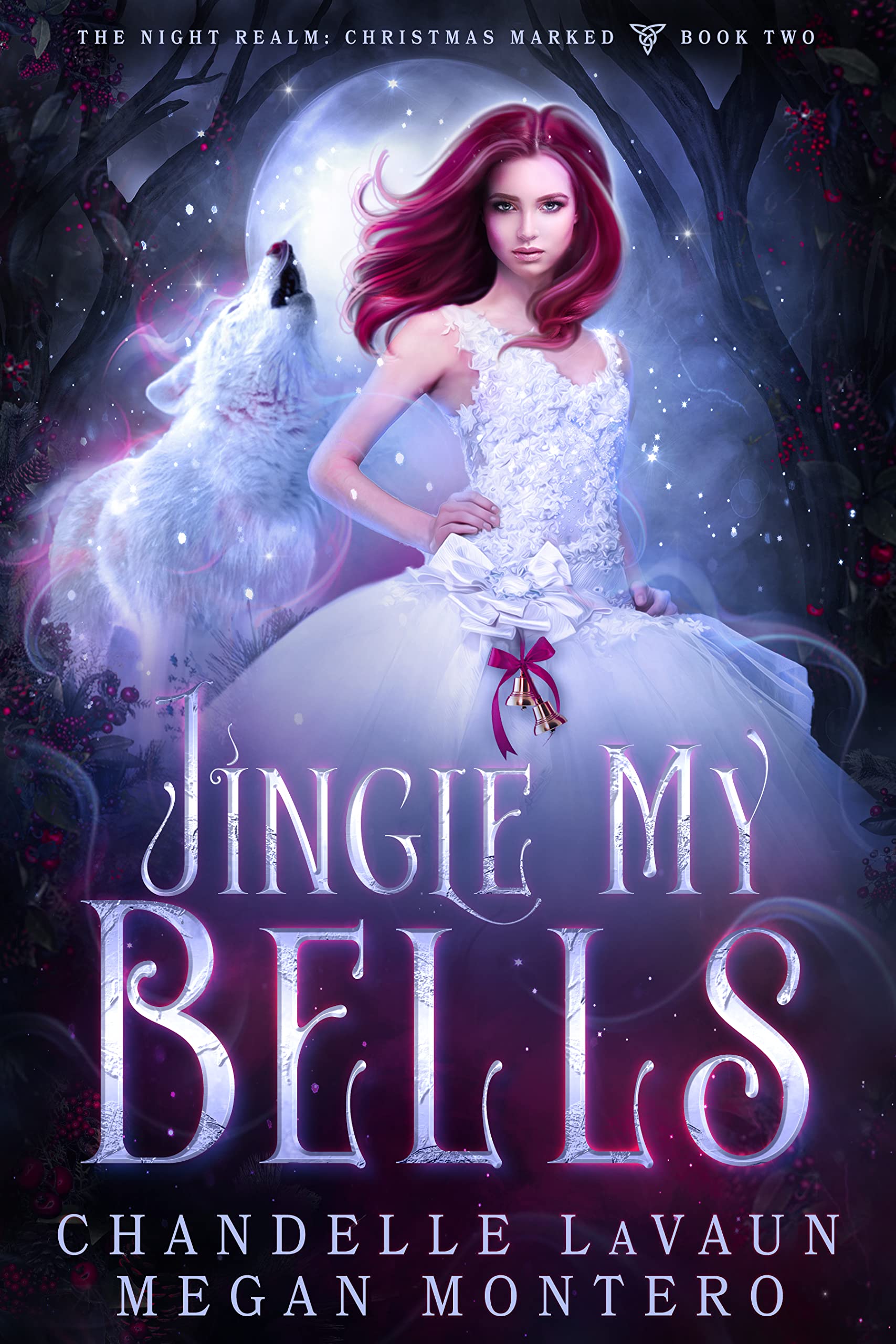 The Night Realm book cover 2