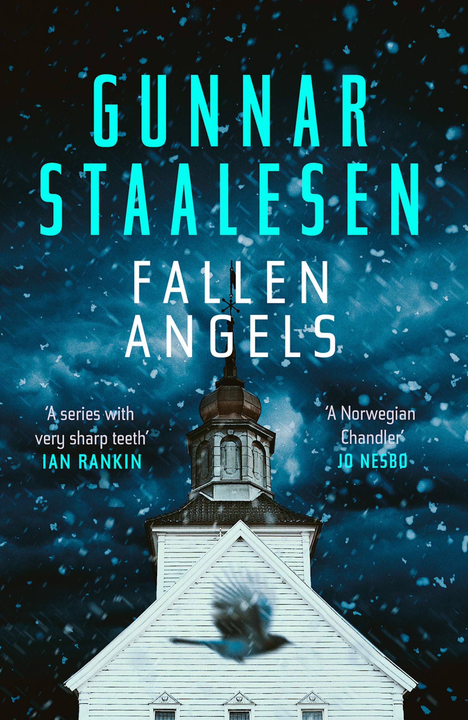 Fallen Angels book cover