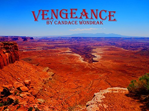 Vengeance book cover