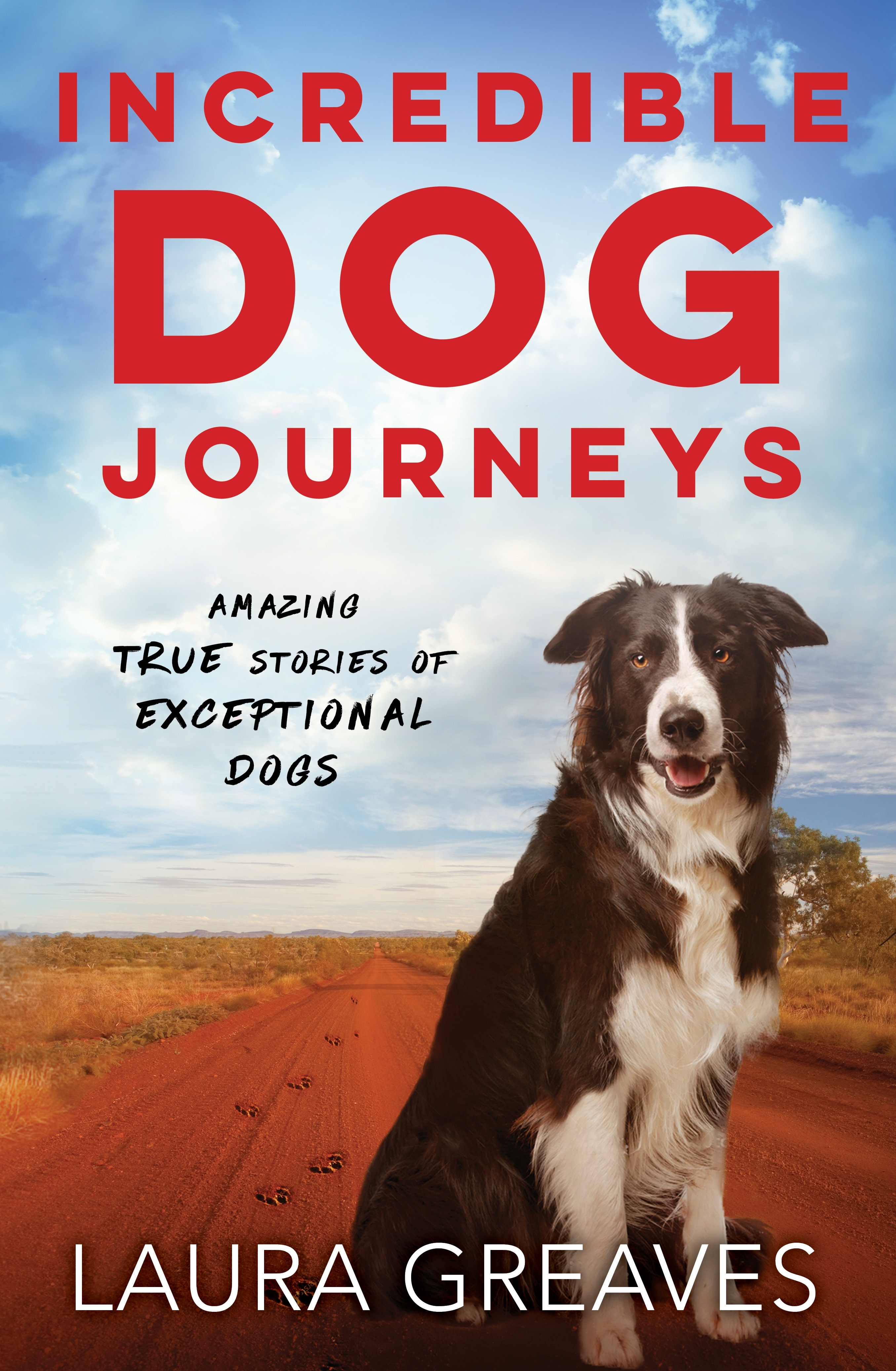 Incredible Dog Journeys book cover