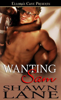 Wanting Sam book cover