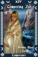 Serenity book cover 1