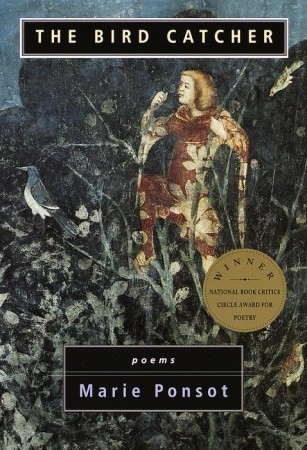 The Bird Catcher book cover