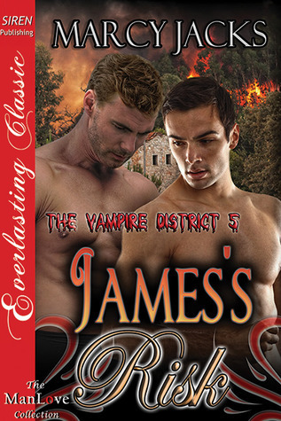 James's Risk book cover