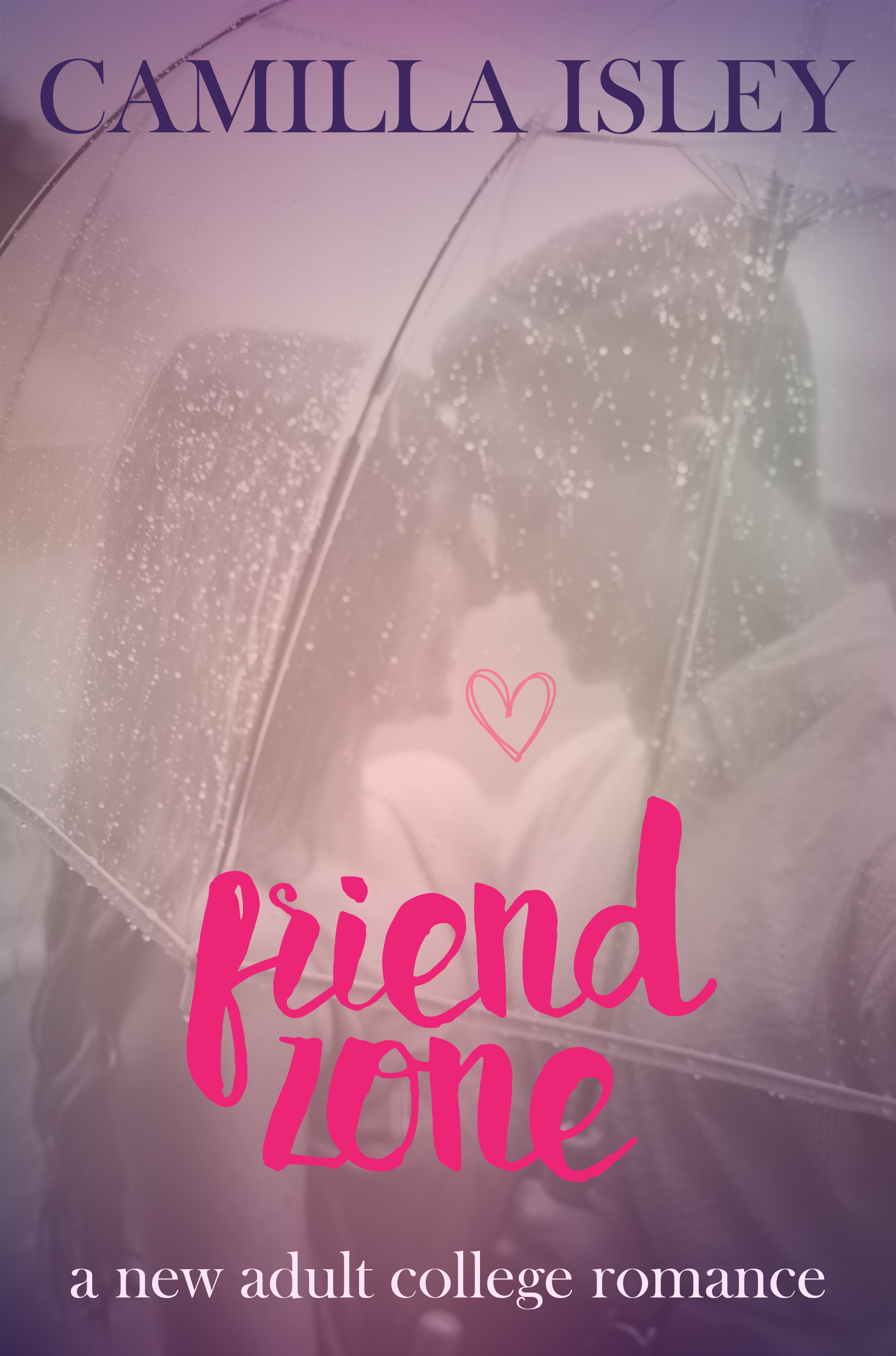 Friend Zone book cover