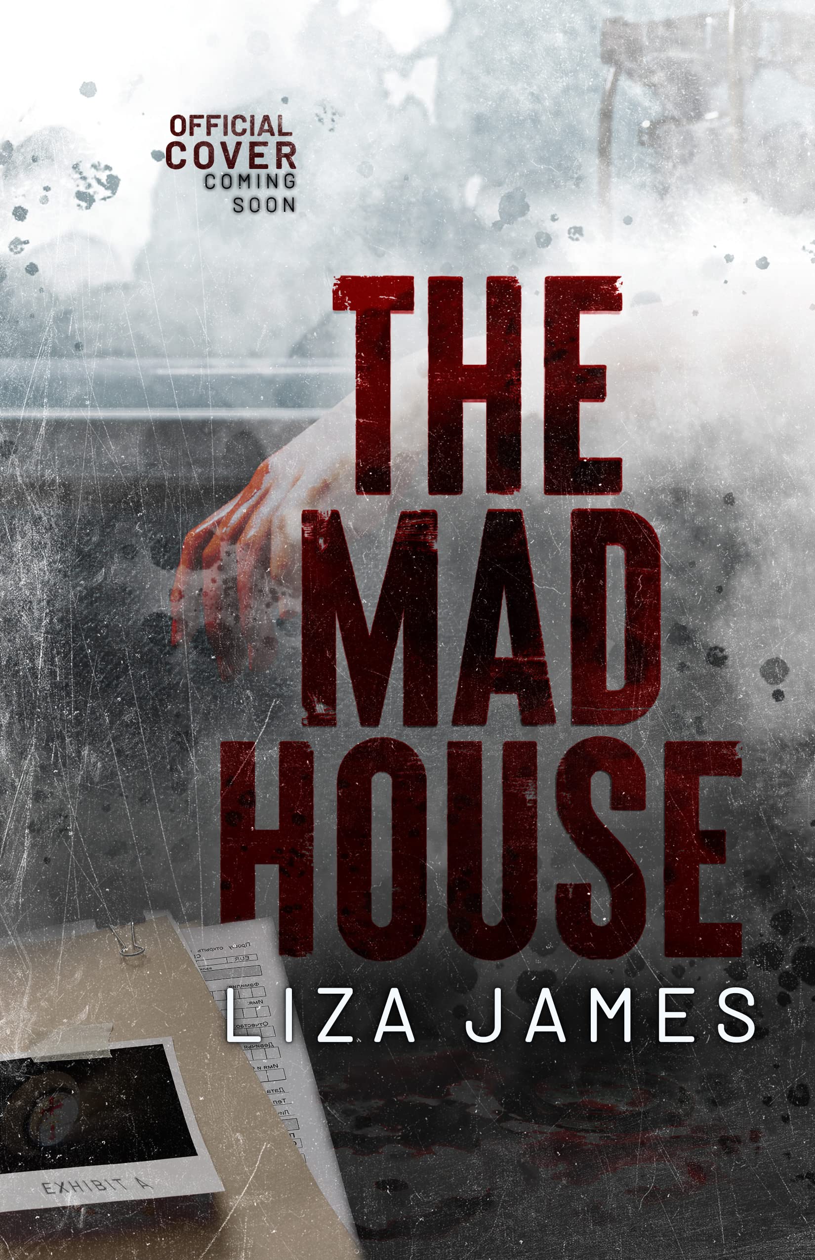 The Mad House book cover