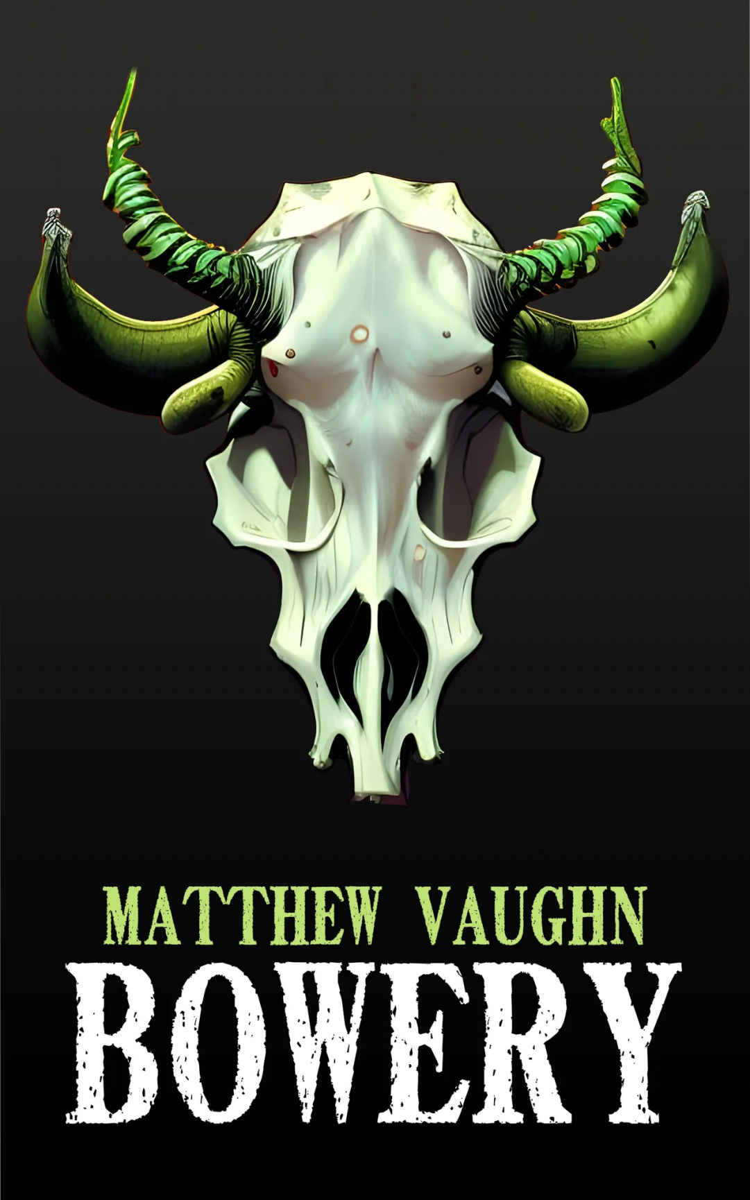 bowery book cover