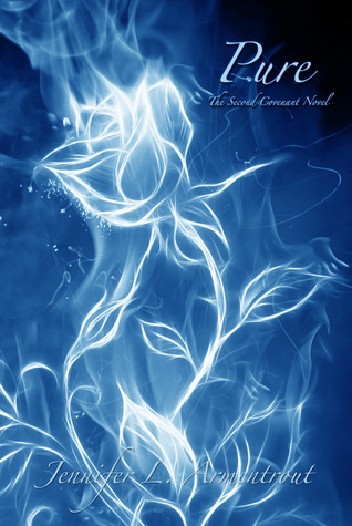 Covenant book cover 2