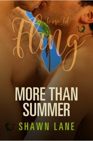 More Than Summer book cover