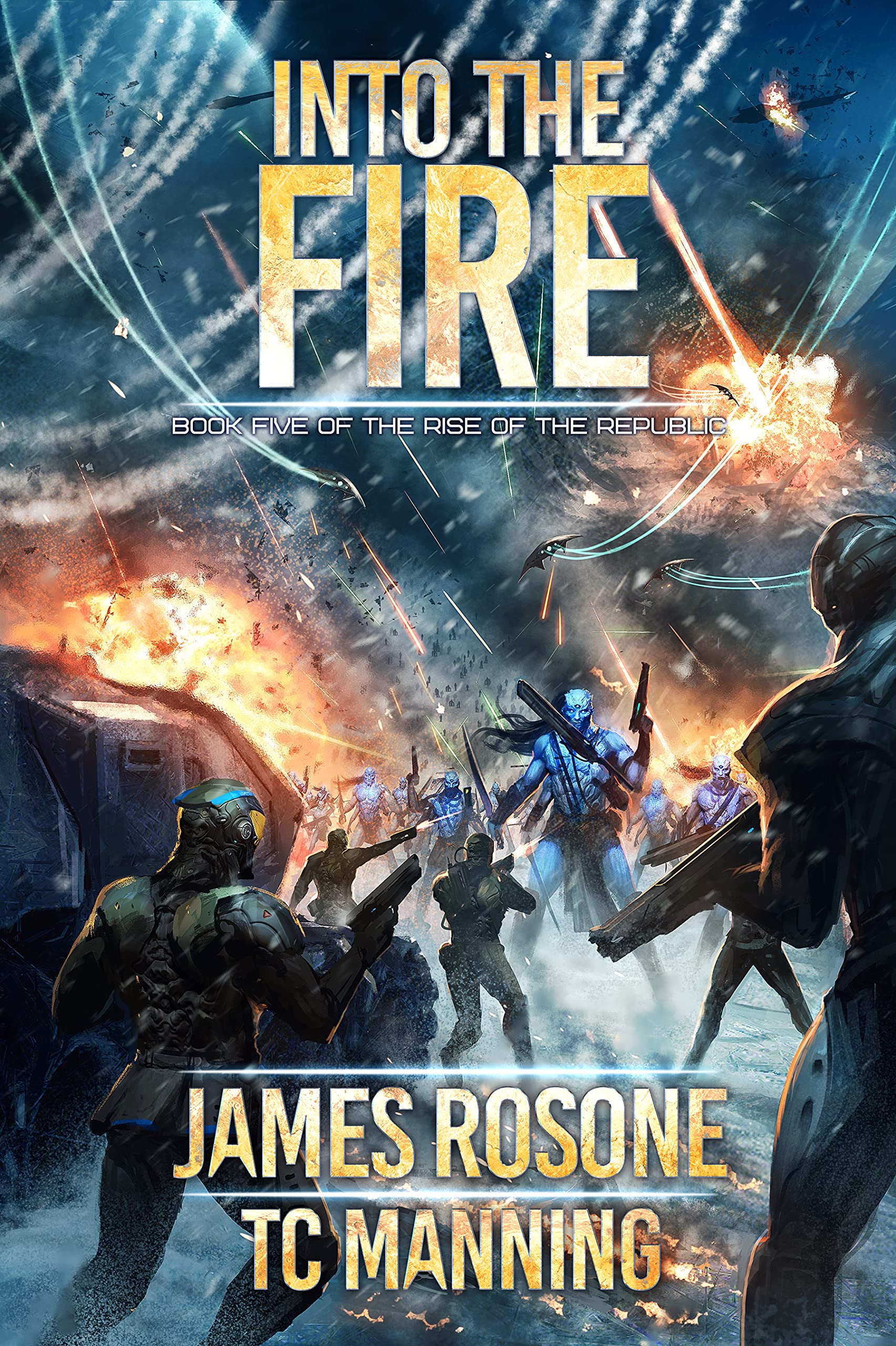 Into the Fire book cover