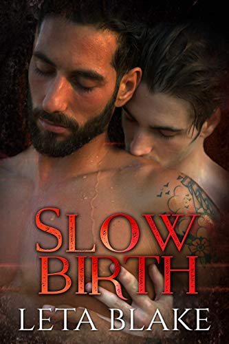 Slow Birth book cover