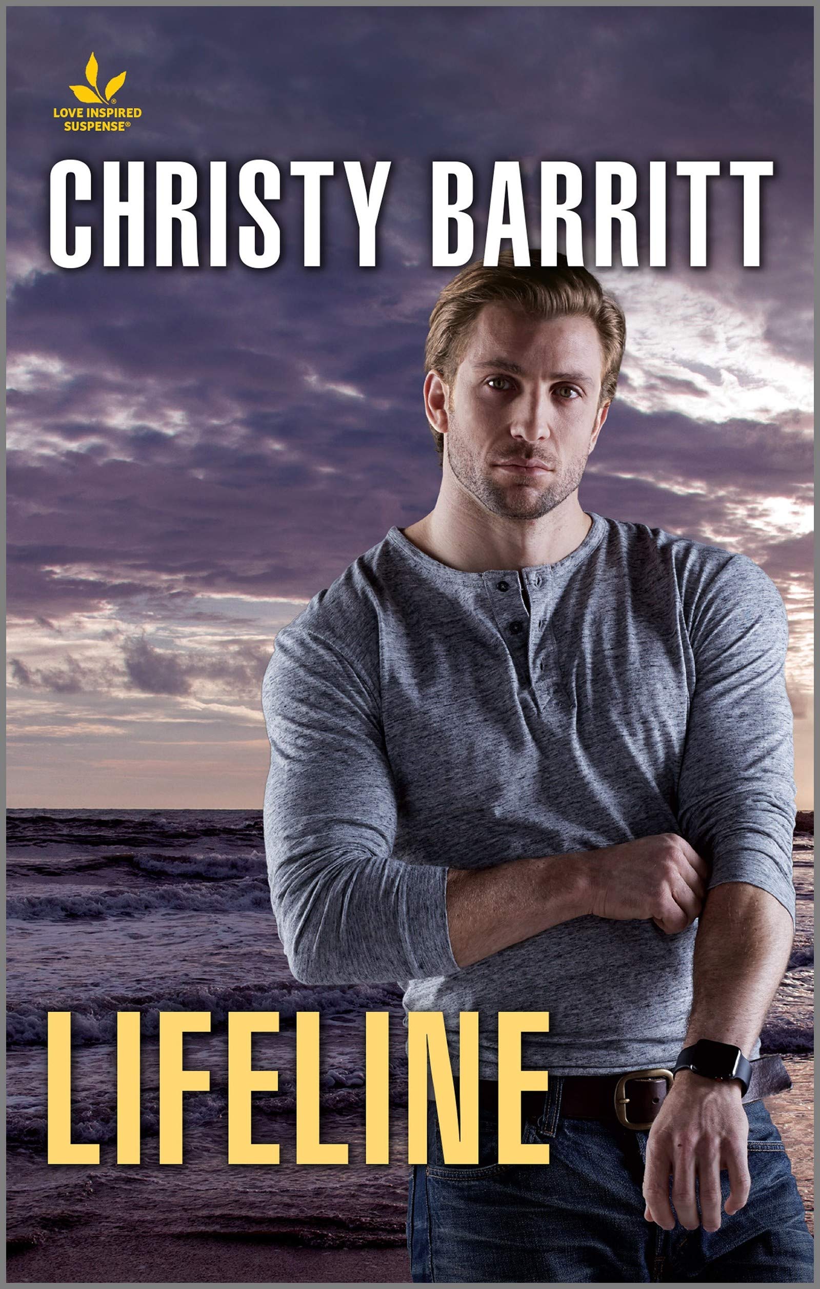 The Security Experts book cover 3