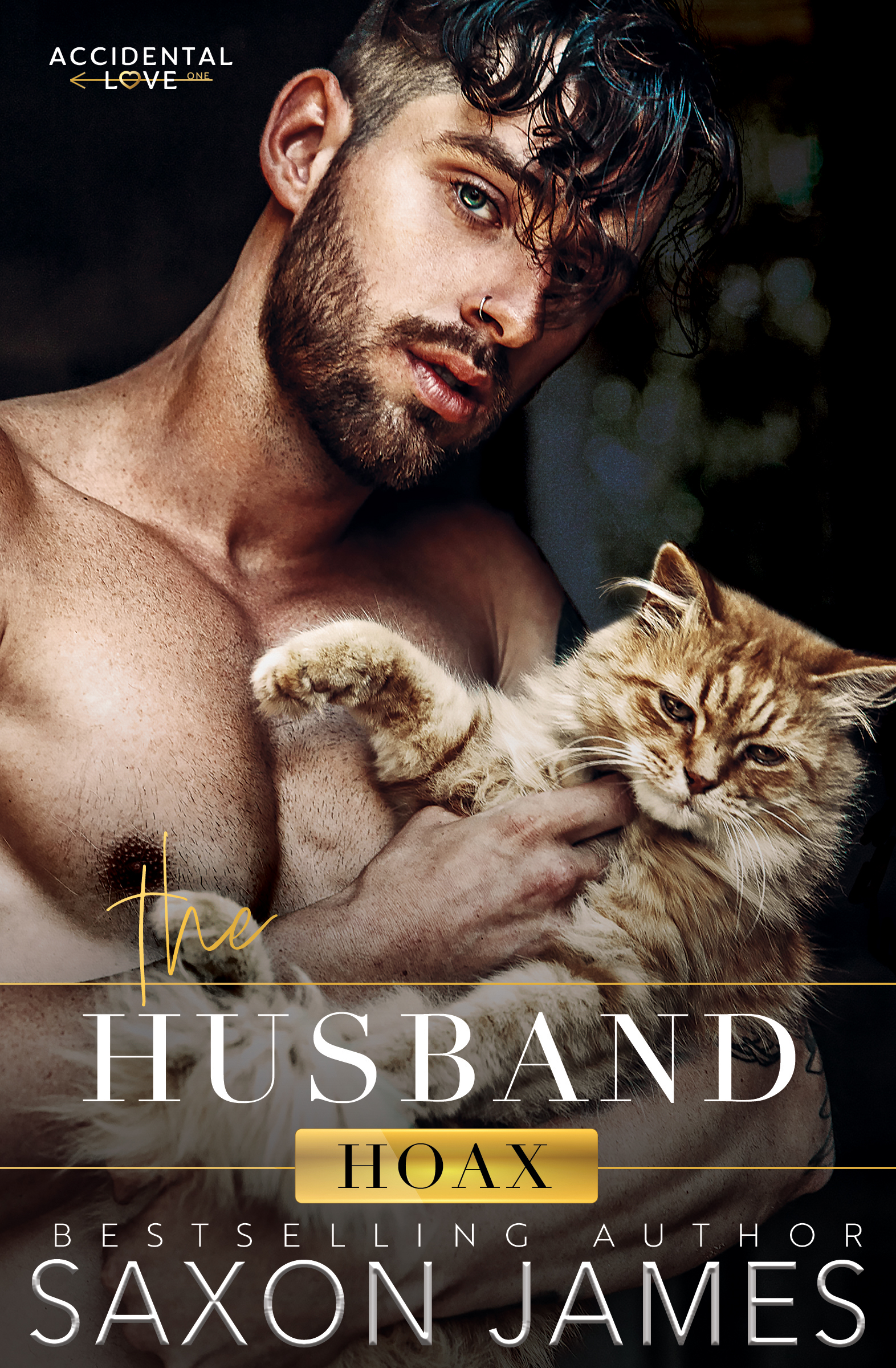 Accidental Love book cover 1
