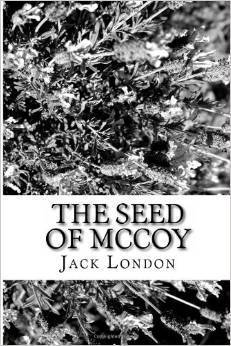The Seed of McCoy book cover