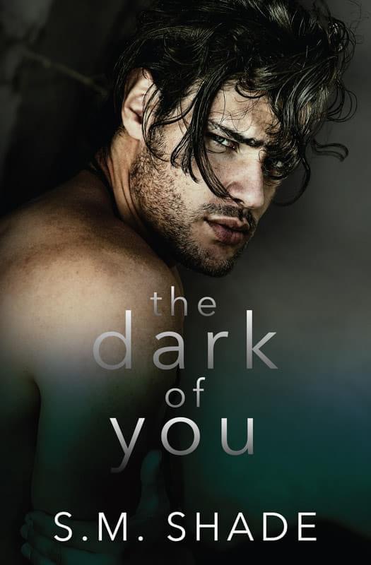 The Dark of You book cover