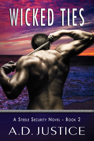 Steele Security book cover 2